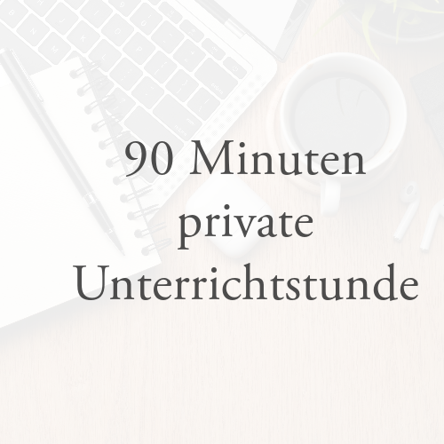 90 Minuten private Unterrichtsstunde (Mathematik)